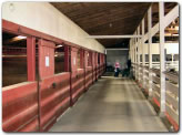 CODAC Facilities