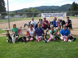 CODAC rocked the BC/Yukon Agility Regional Competition